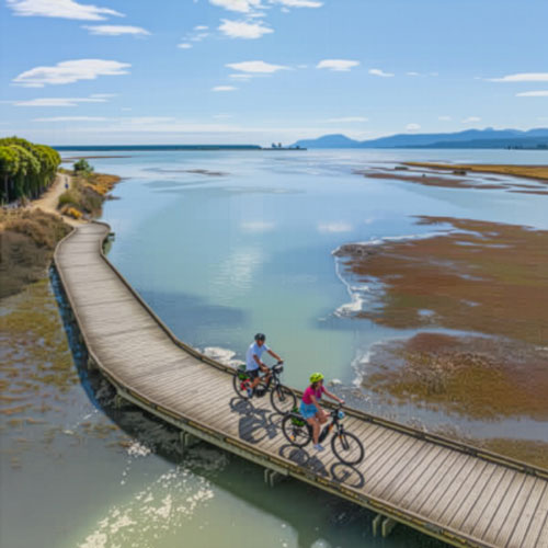 cycle-nelson-single-day-tour-rabbit-island-picnic-tour