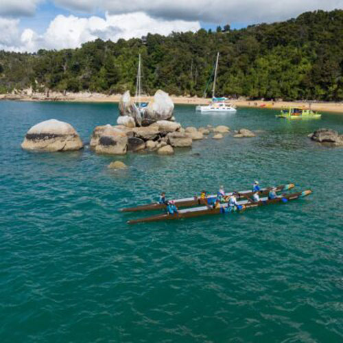 cycle-nelson-single-day-tour-waka-and-wheels-tour
